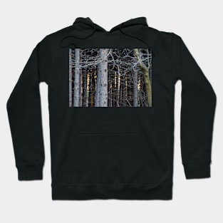 Forest Hoodie